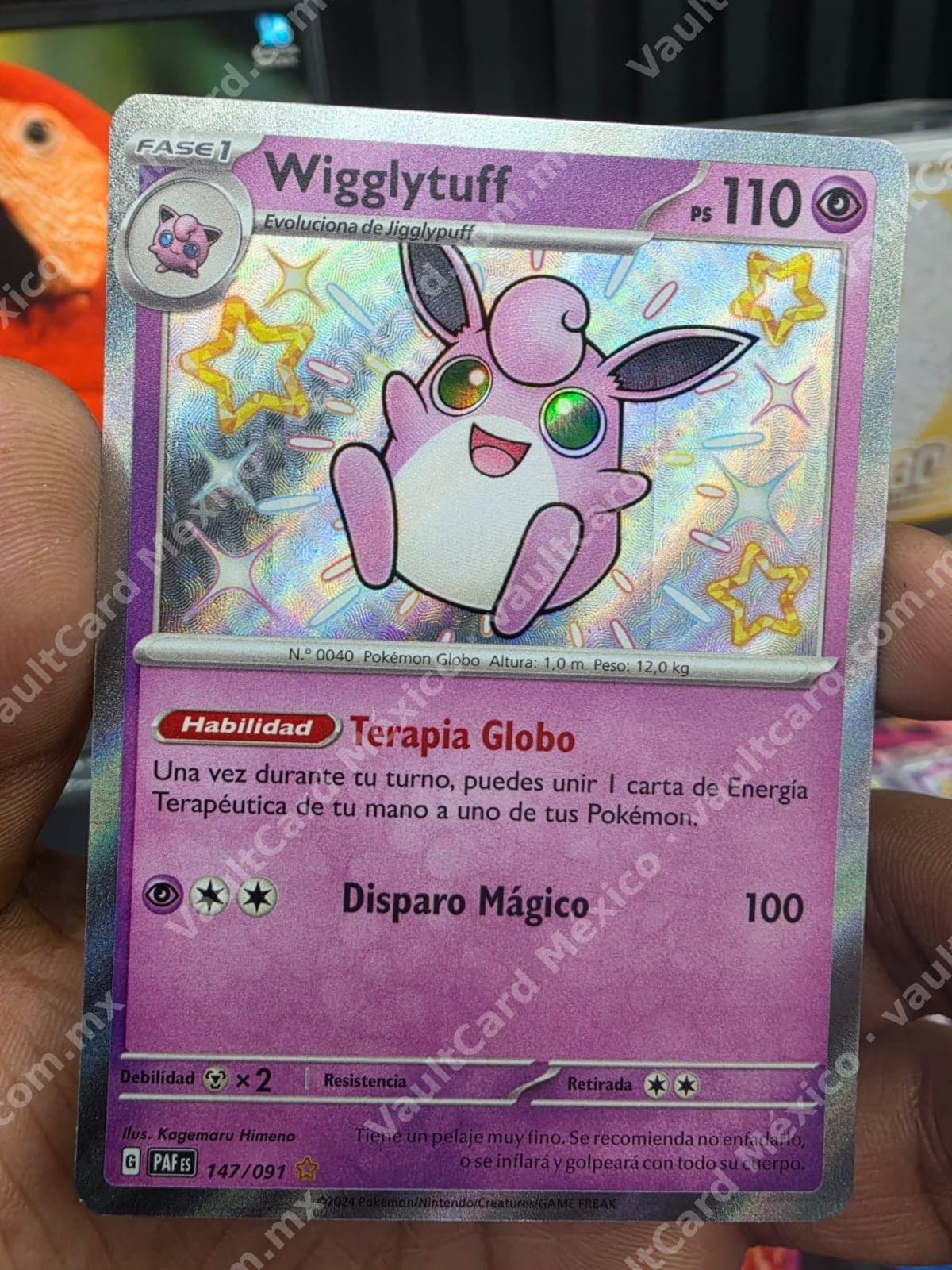 Wigglytuff 147/091 - Destinos de Paldea (PAF) Español