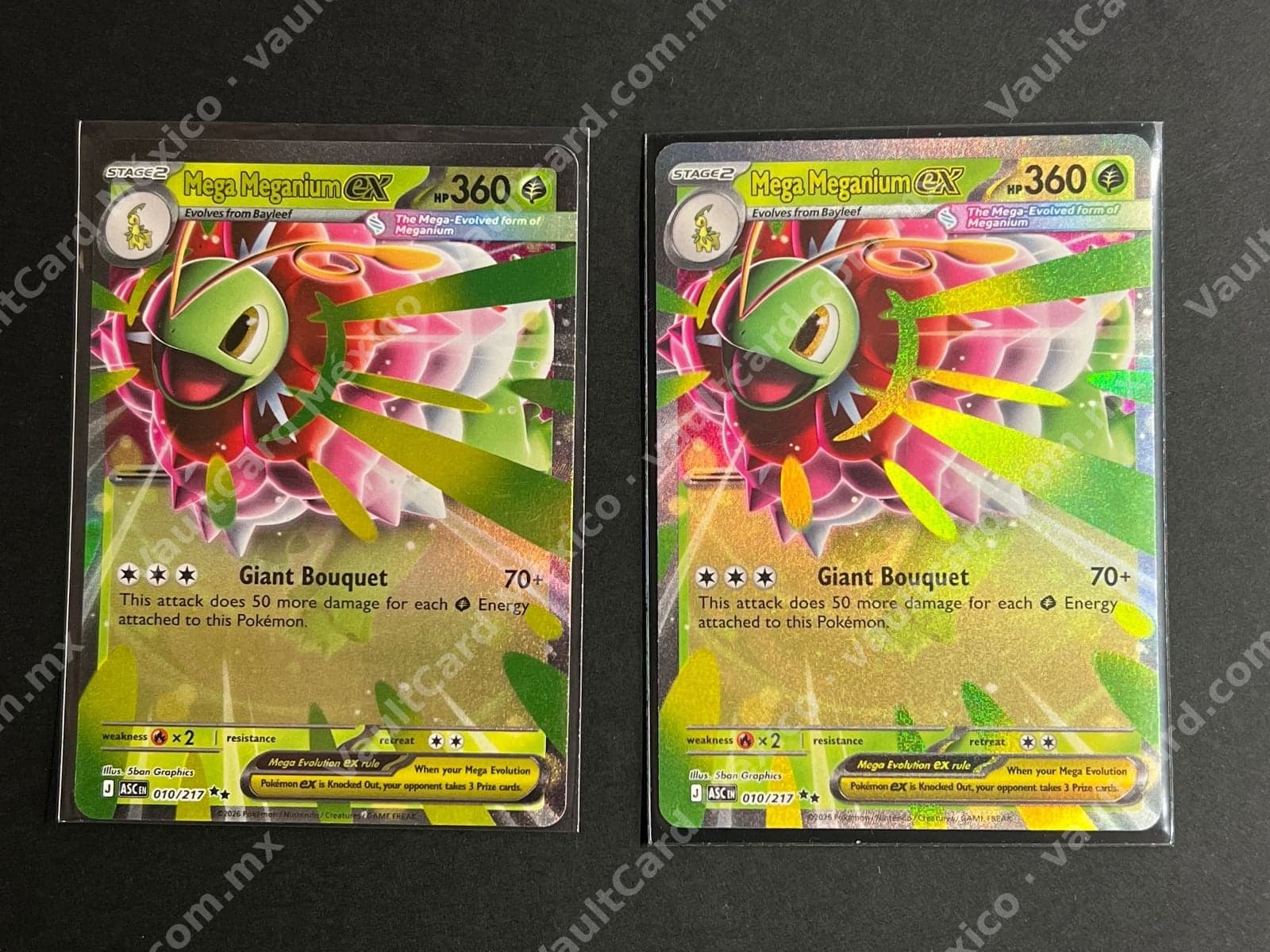 Lote 2x Mega Meganium ex 010/217 (ASC) Inglés — foto 1
