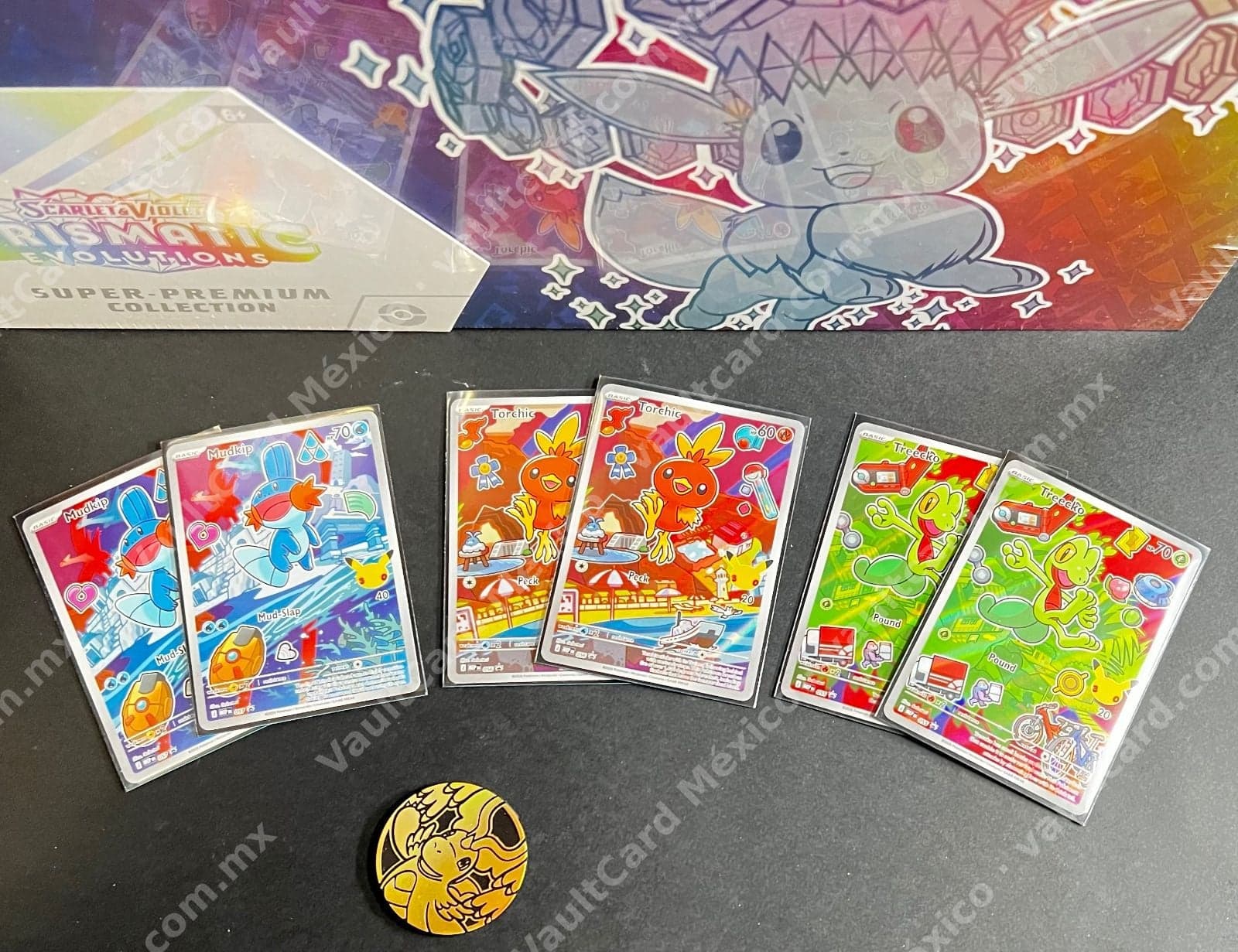 Lote 2 sets de Treecko, Torchic y Mudkip - Cartas Ilustración Inglés + Moneda