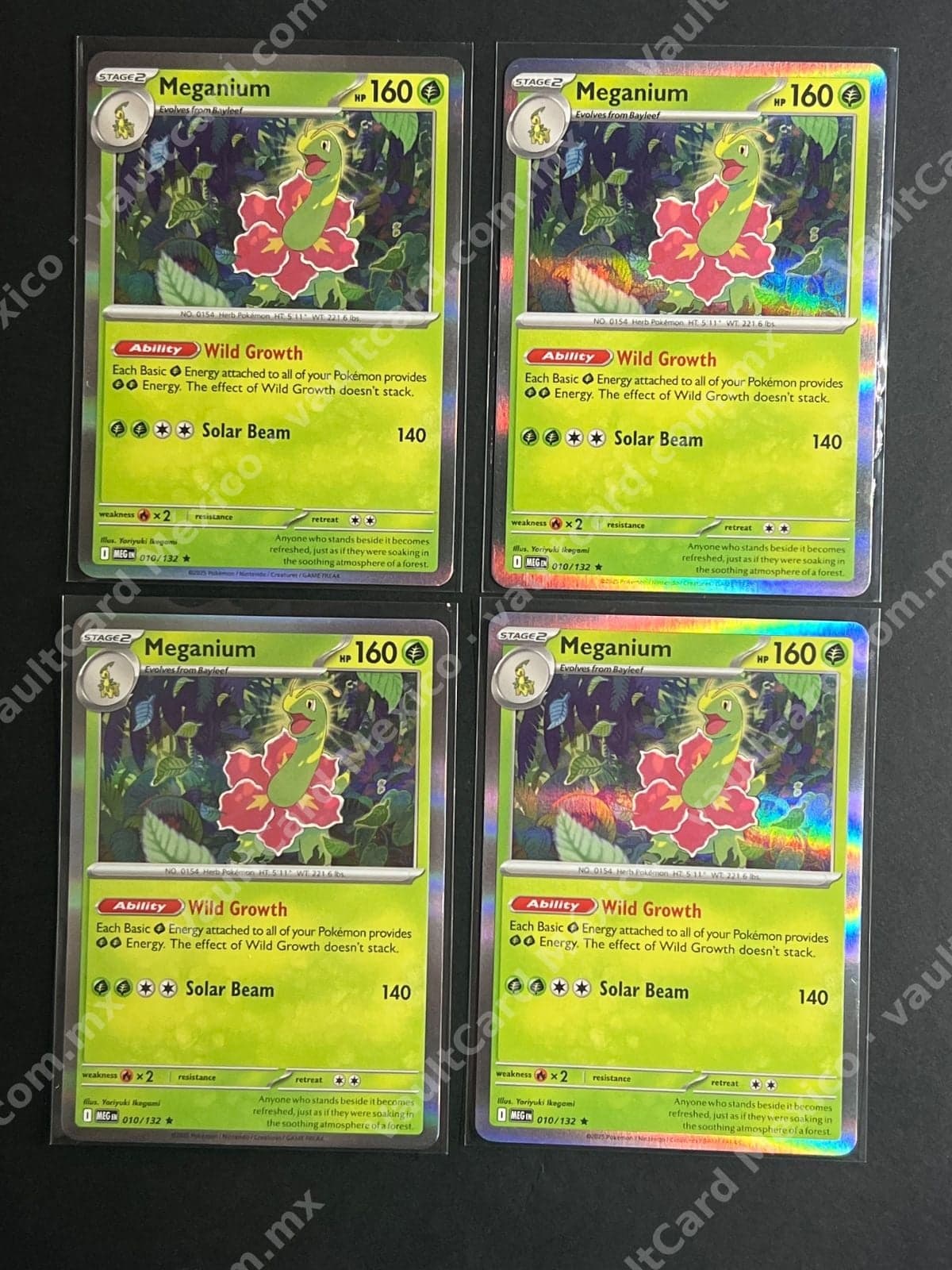 Lote 4x Meganium 010/132 (MEG) Inglés - Holo/Reverse