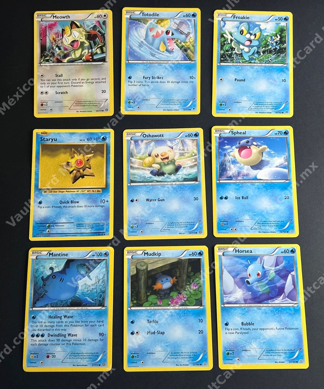 Lote de 9 Cartas Pokémon en Inglés - Meowth, Totodile, Froakie y más — foto 1