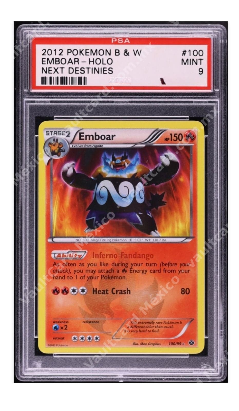 Emboar Holo 100/99 - Next Destinies PSA 9 MINT Inglés