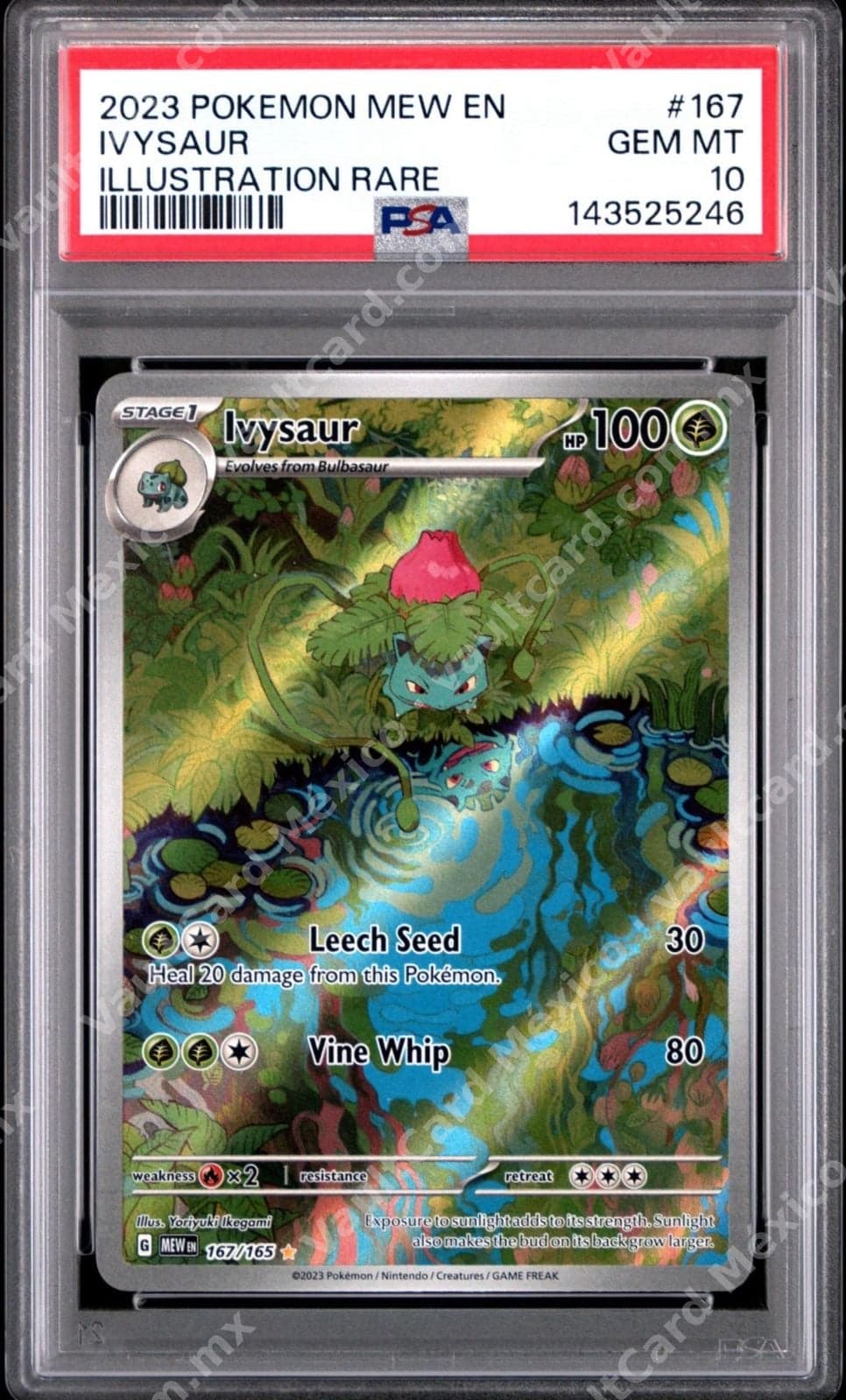 Ivysaur 167/165 PSA 10 - 151 (MEW) Inglés Illustration Rare
