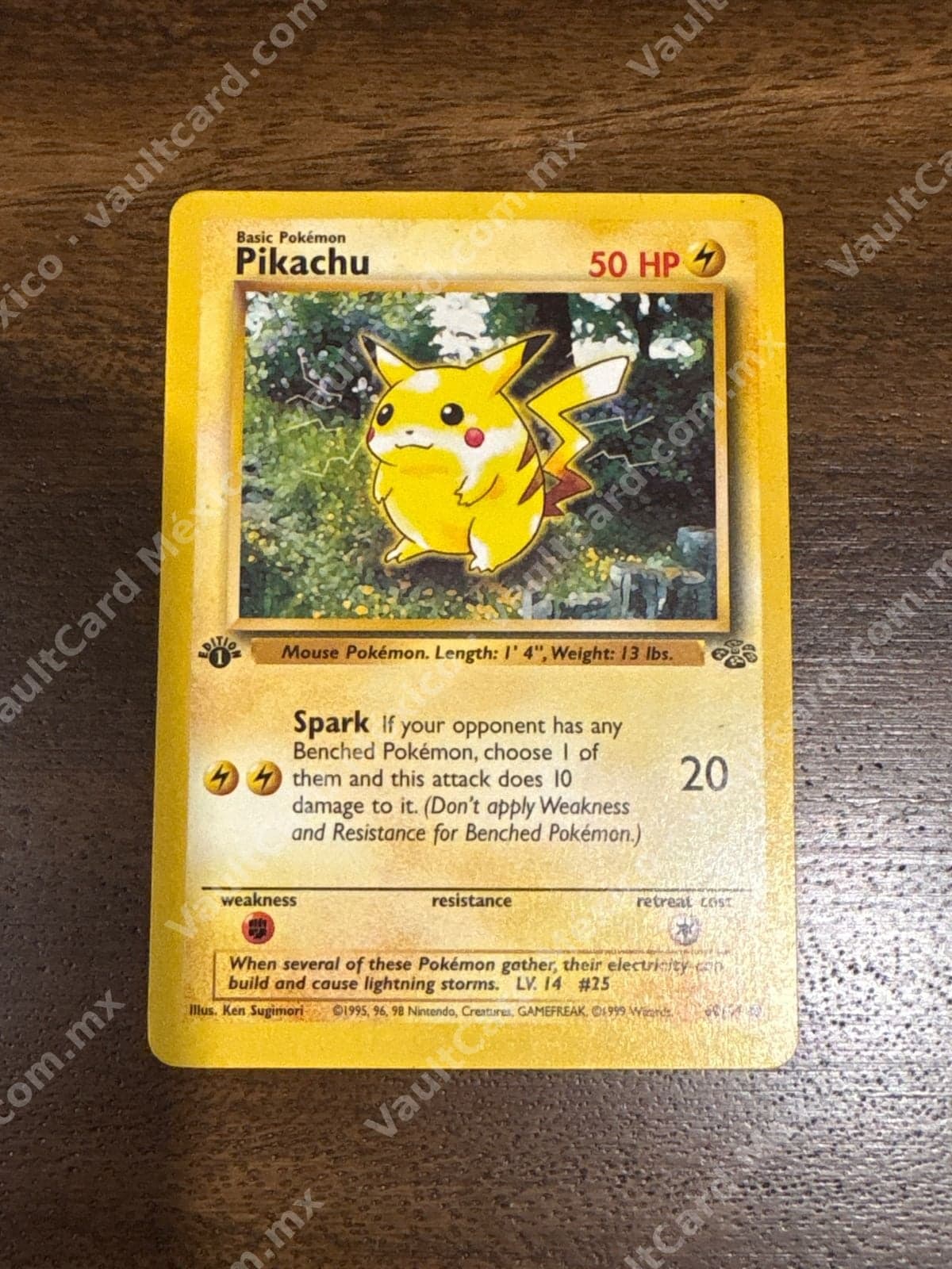 Pikachu 60/64 - Jungle 1st Edition Inglés