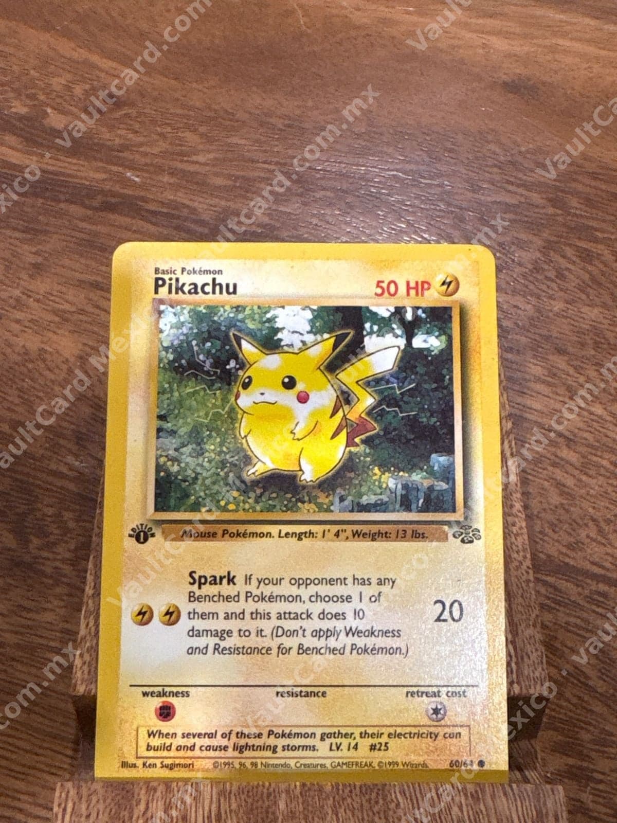 Pikachu 60/64 - Jungle 1st Edition Inglés