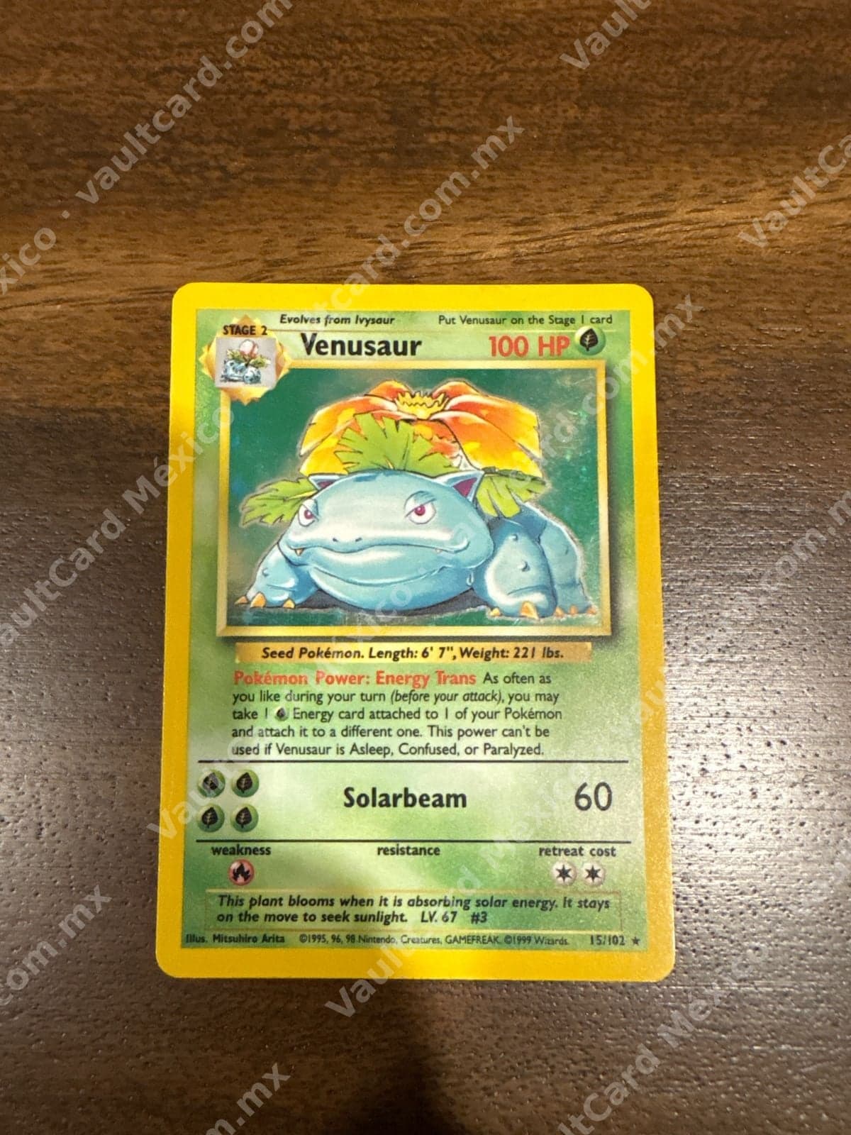 Venusaur 15/102 Holo - Base Set Inglés