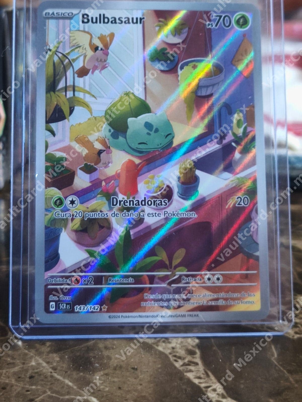 Bulbasaur 143/142 - Corona Estelar (SCR) Español - Illustration Rare