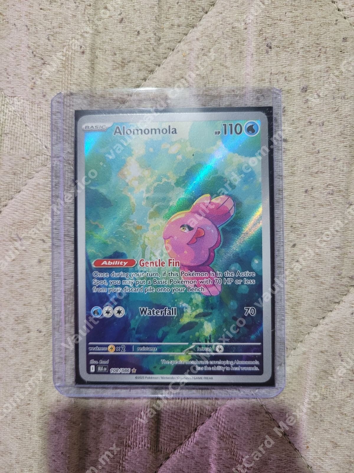 Alomomola 108/086 - (BLK) Inglés - Illustration Rare