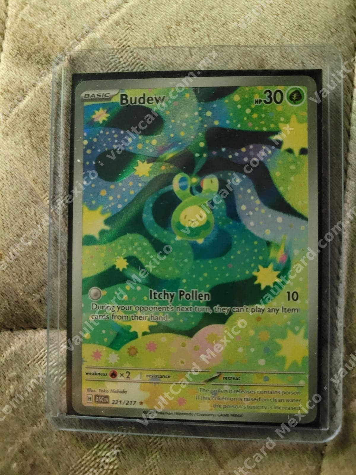 Budew 221/217 - (ASC) Inglés - Illustration Rare