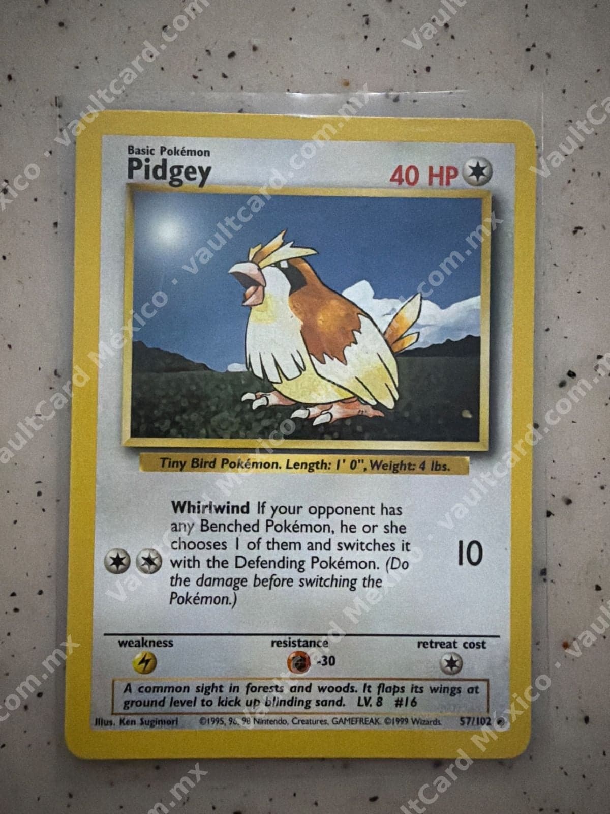 Pidgey 57/102 - Base Set Inglés (Común)