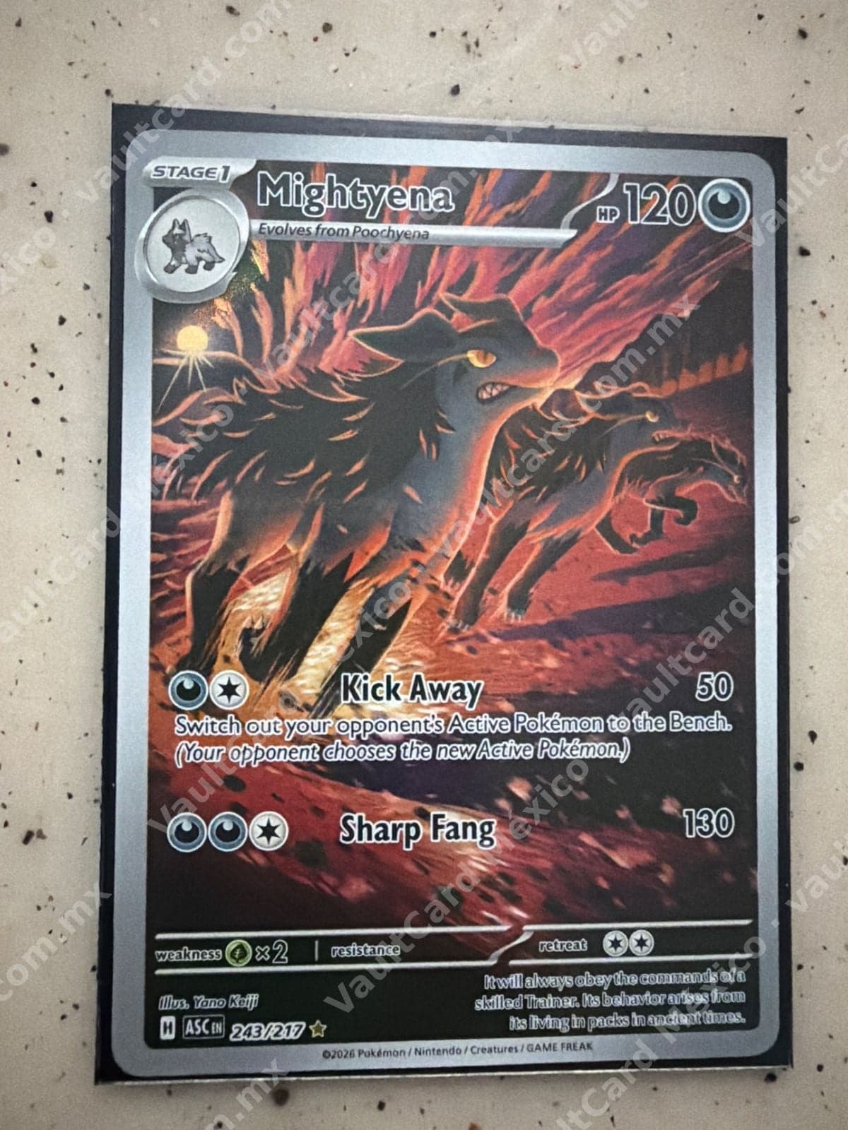 Mightyena 243/217 - (ASC) Inglés - Illustration Rare