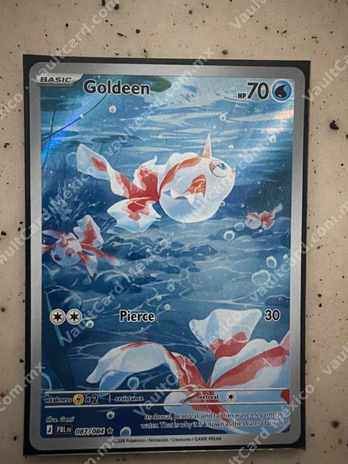 Goldeen 087/084 - (PBL) Inglés - Illustration Rare