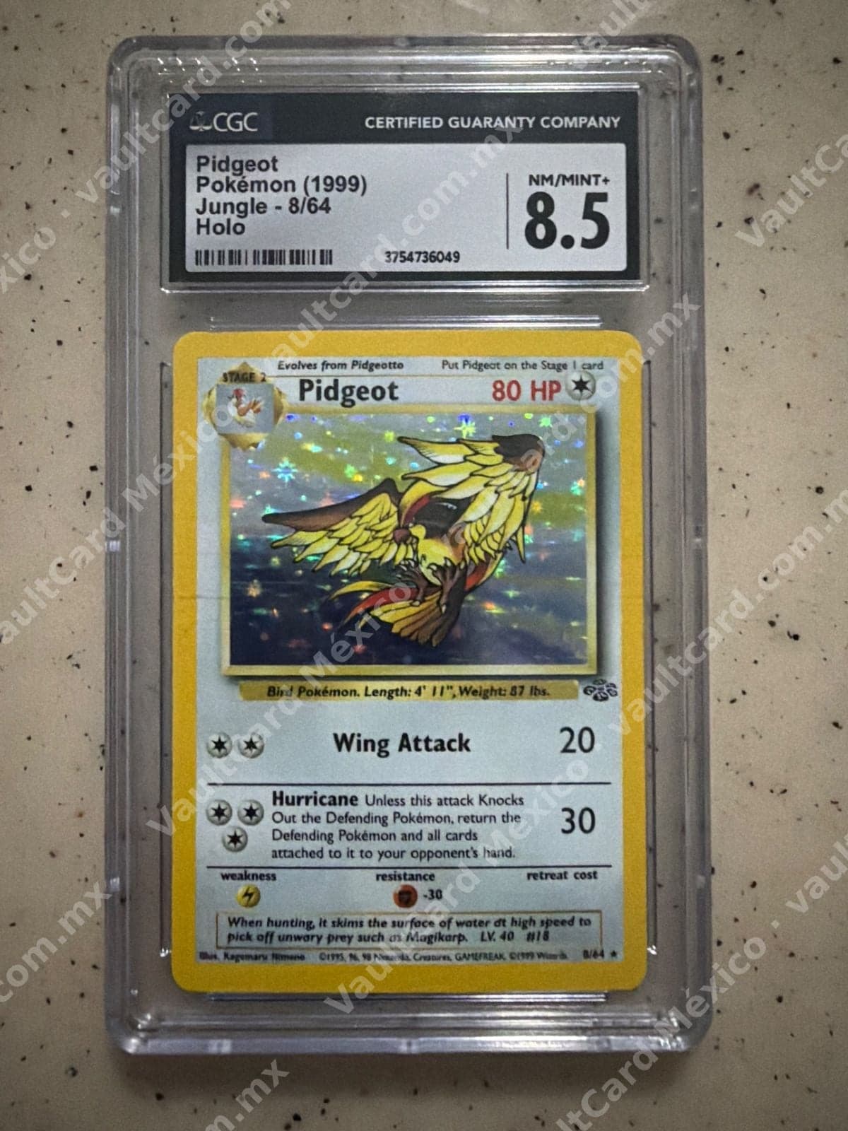 Pidgeot Holo 8/64 - Jungle 1999 CGC 8.5 Inglés
