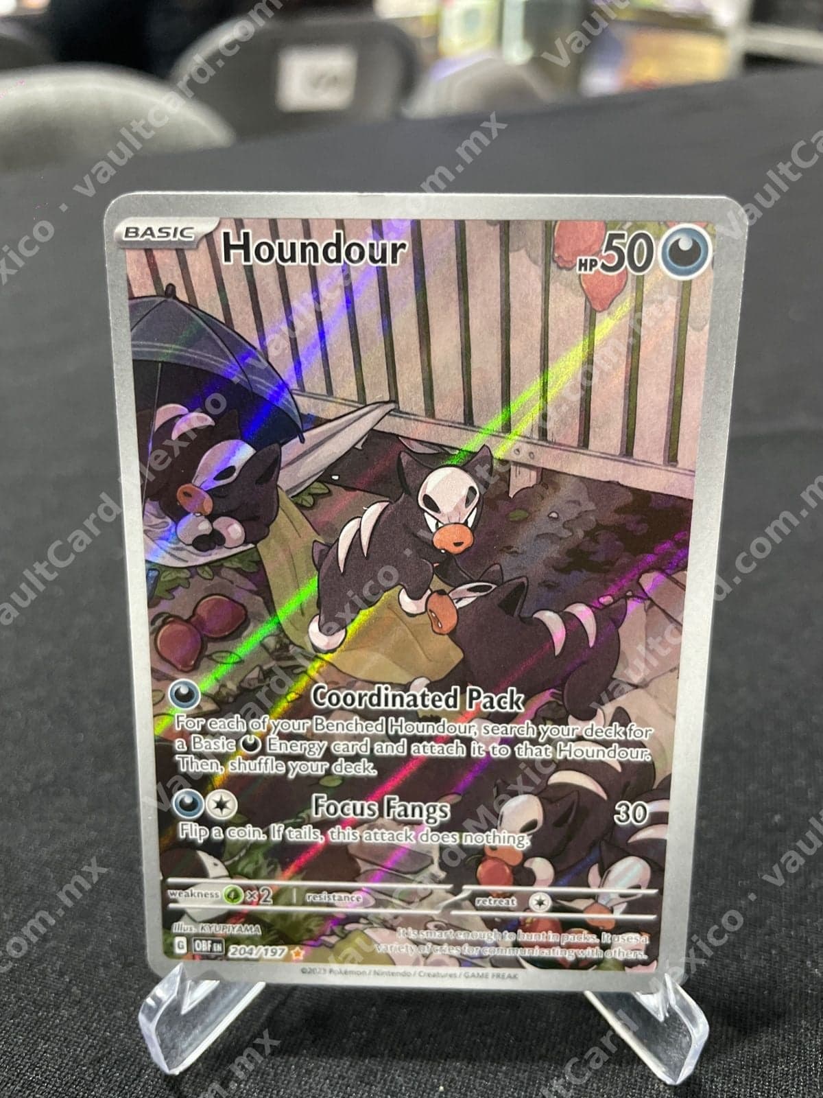 Houndour 204/197 - Obsidian Flames (OBF) Inglés - Illustration Rare