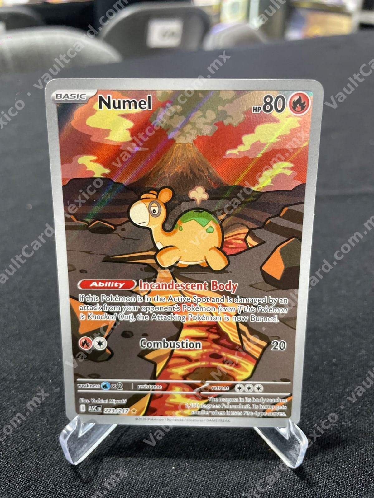 Numel 223/217 - (ASC) Inglés - Illustration Rare