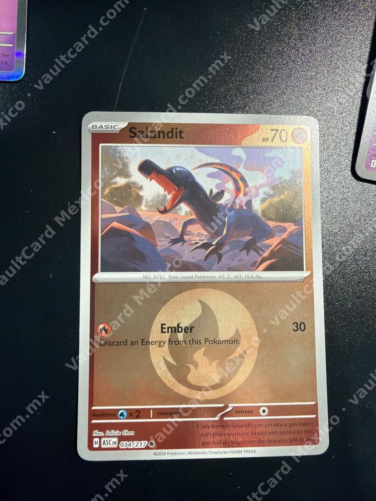 Salandit 034/217 - (ASC) Inglés
