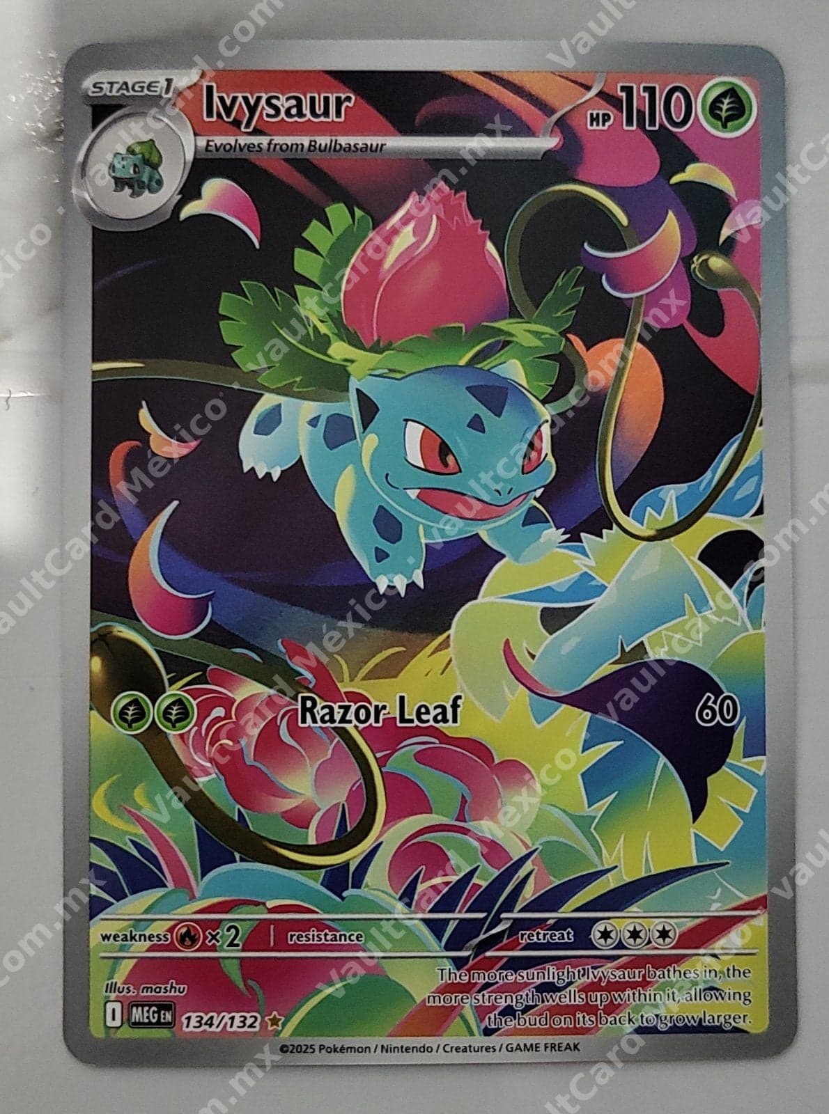 Ivysaur 134/132 - (MEG) Inglés - Illustration Rare