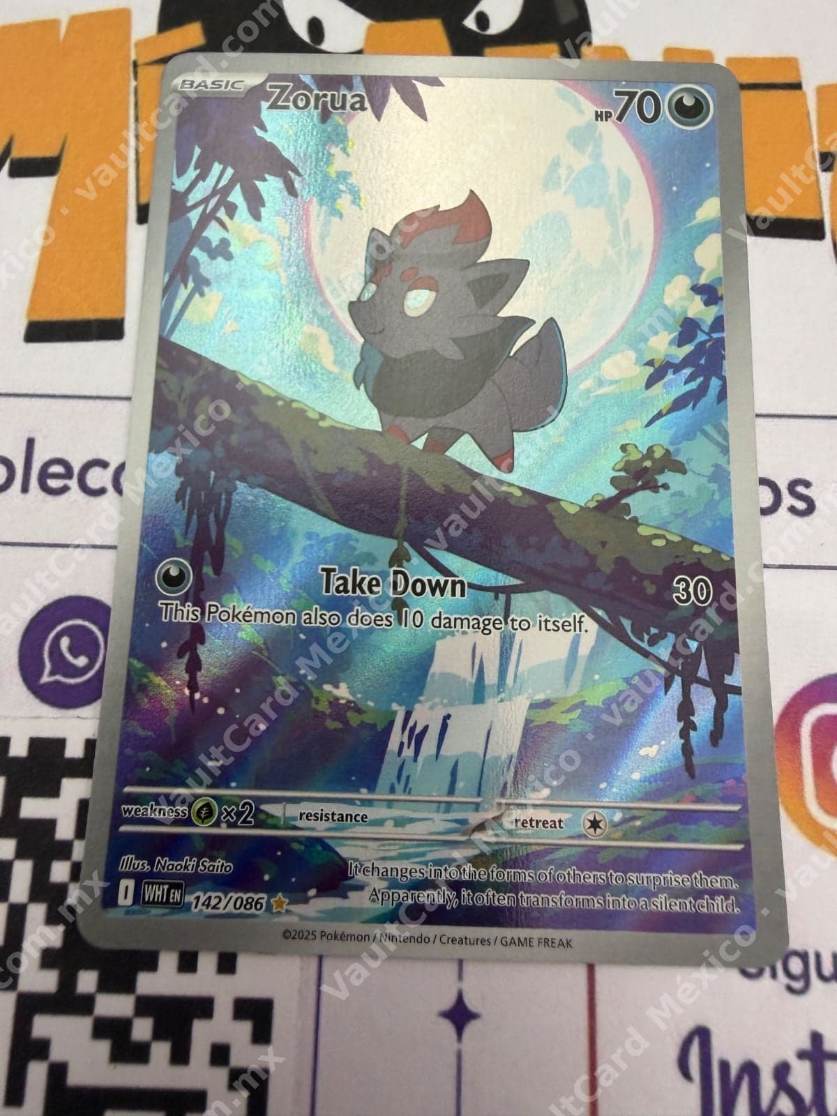 Zorua 142/086 - (WHT) Inglés - Illustration Rare