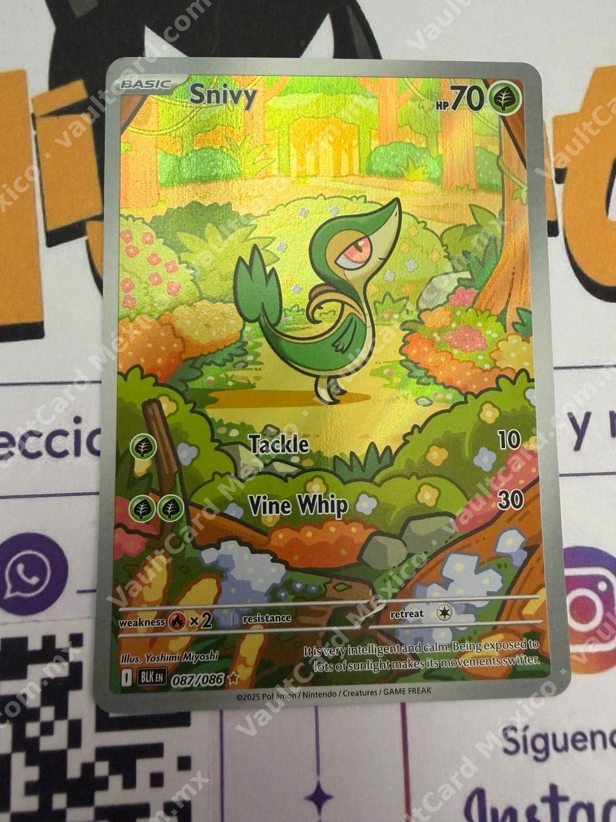 Snivy 087/086 - (BLK) Inglés - Illustration Rare