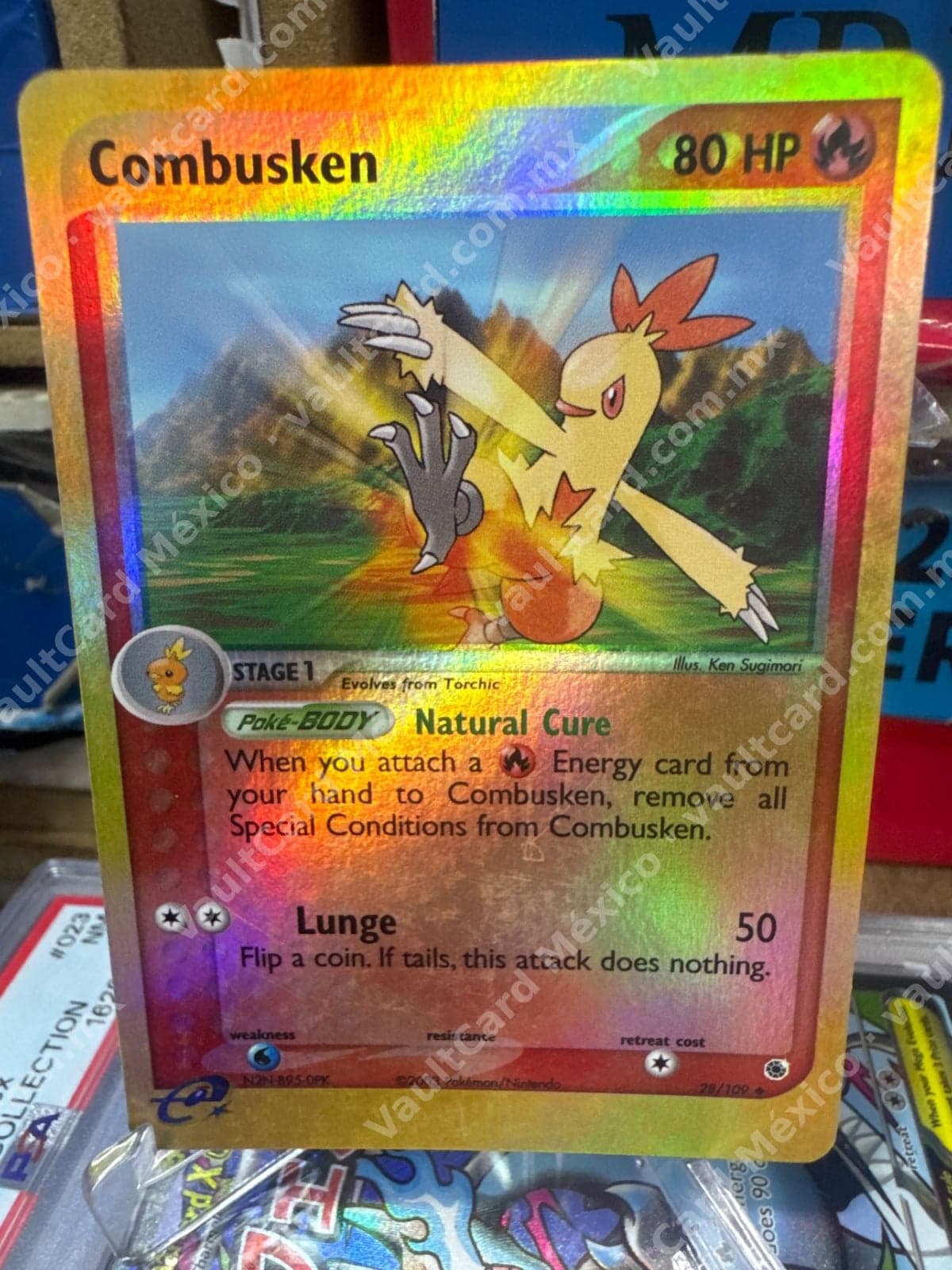 Combusken 28/109 - EX Ruby & Sapphire Inglés Reverse Holo