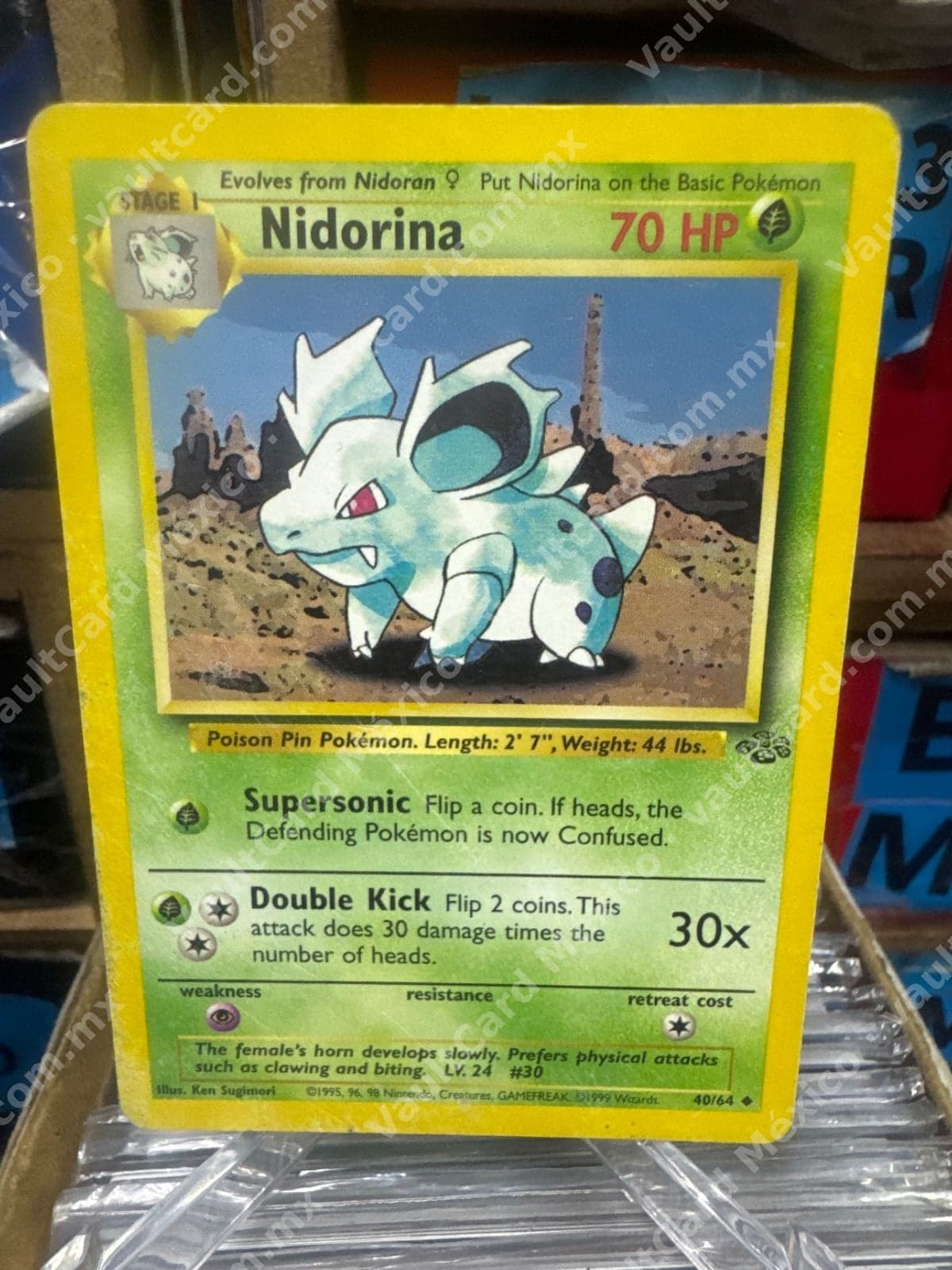 Nidorina 40/64 - Jungle Inglés WOTC