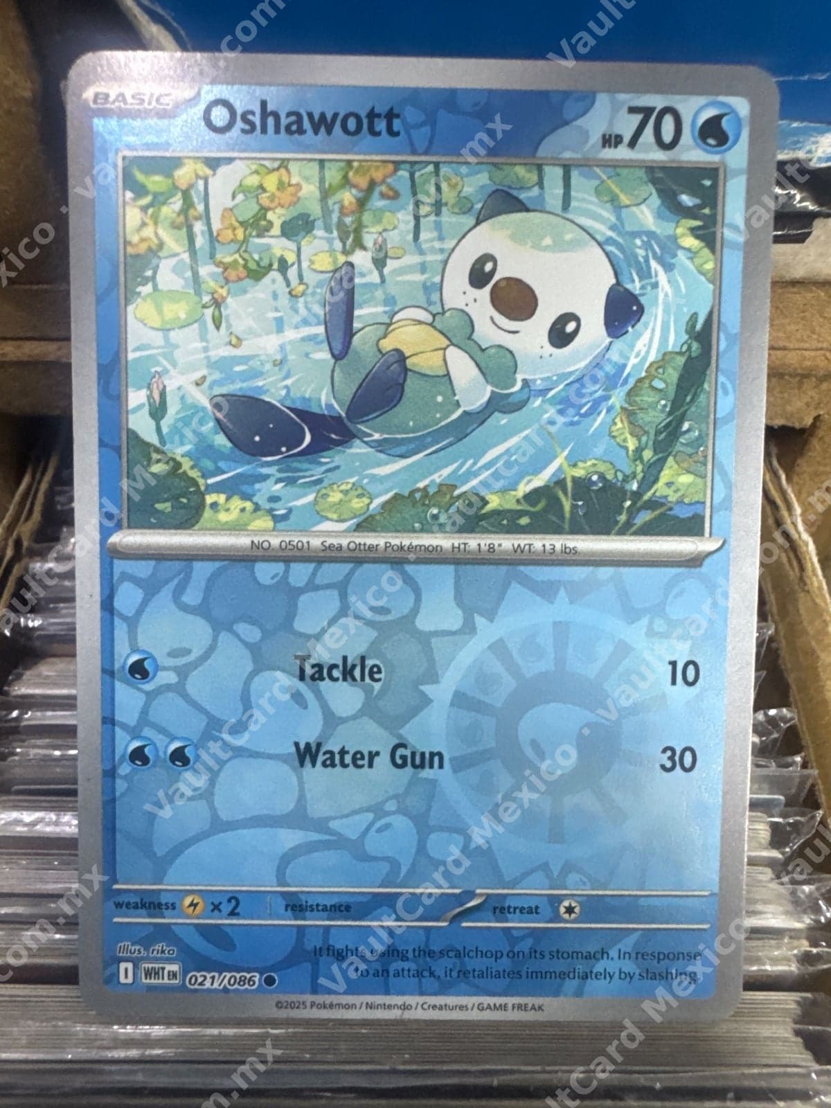 Oshawott 021/086 - (WHT) Inglés