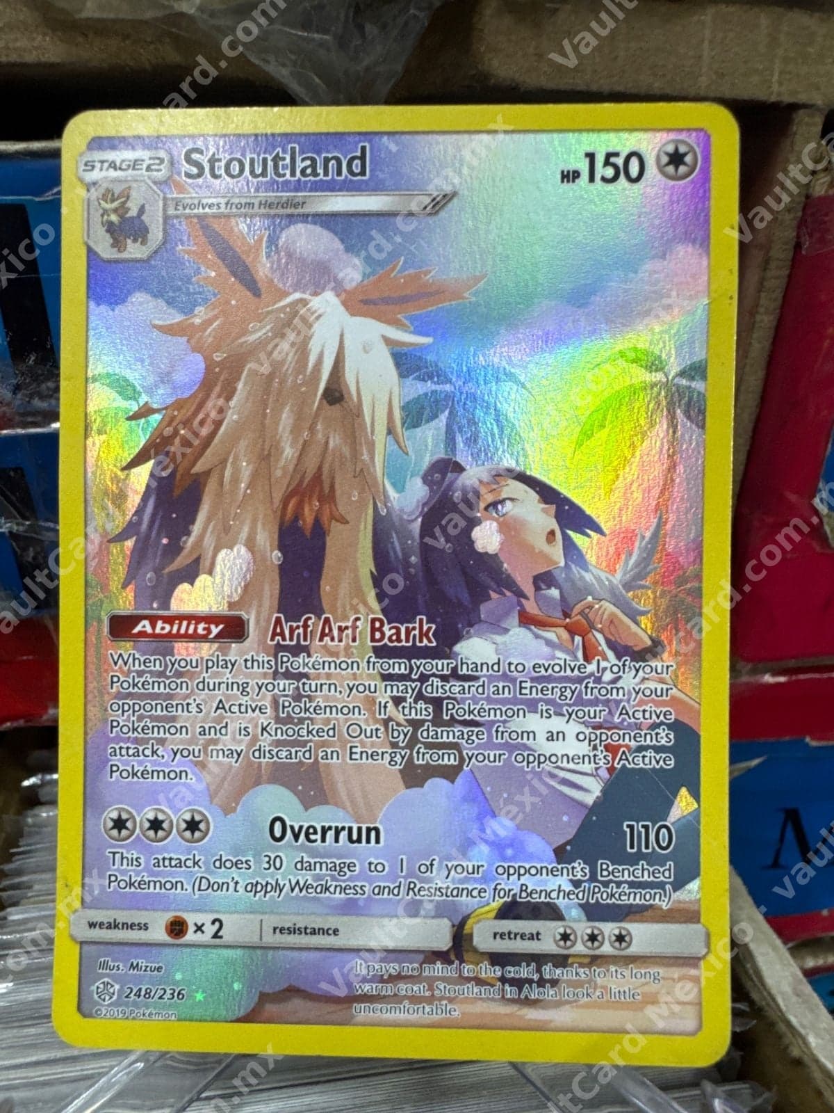 Stoutland 248/236 - Cosmic Eclipse (CEC) Inglés - Rainbow Rare