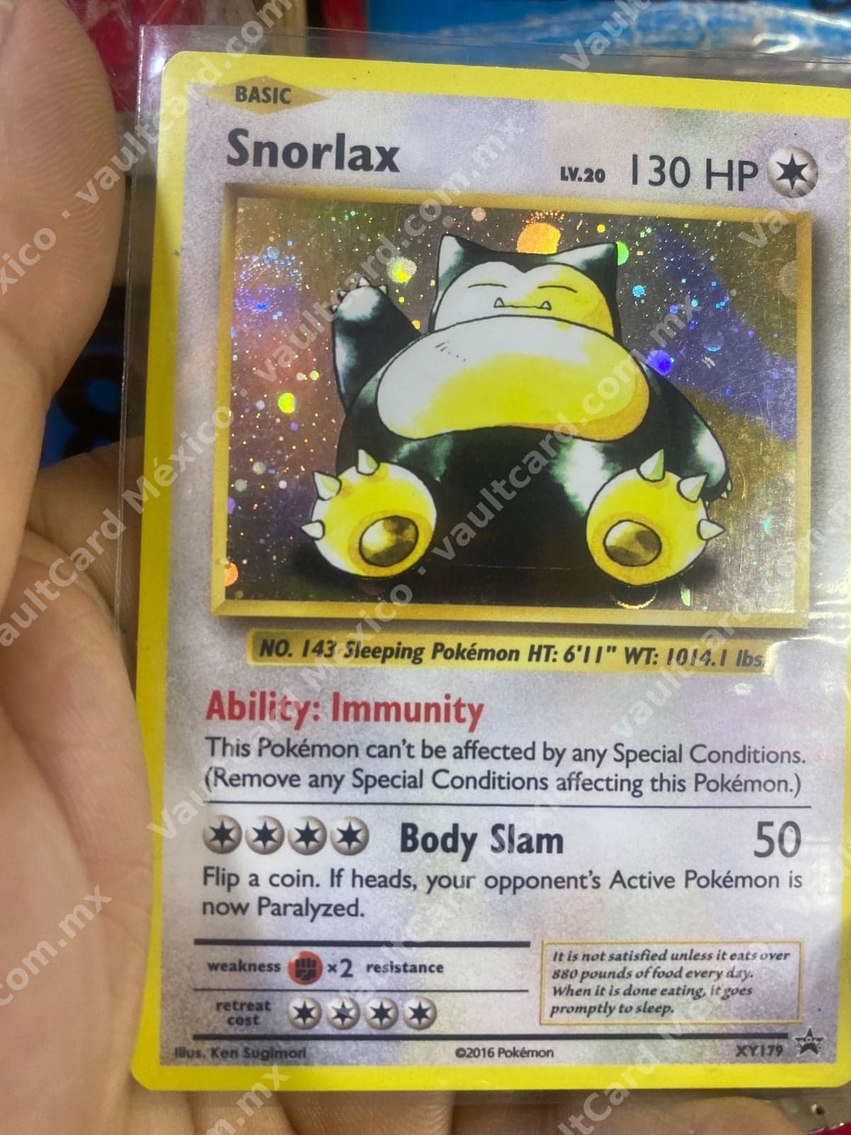 Snorlax XY179 - Promo Holo XY Inglés