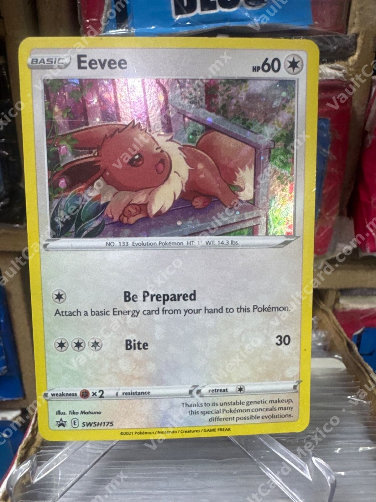 Eevee SWSH175 - Black Star Promo Inglés