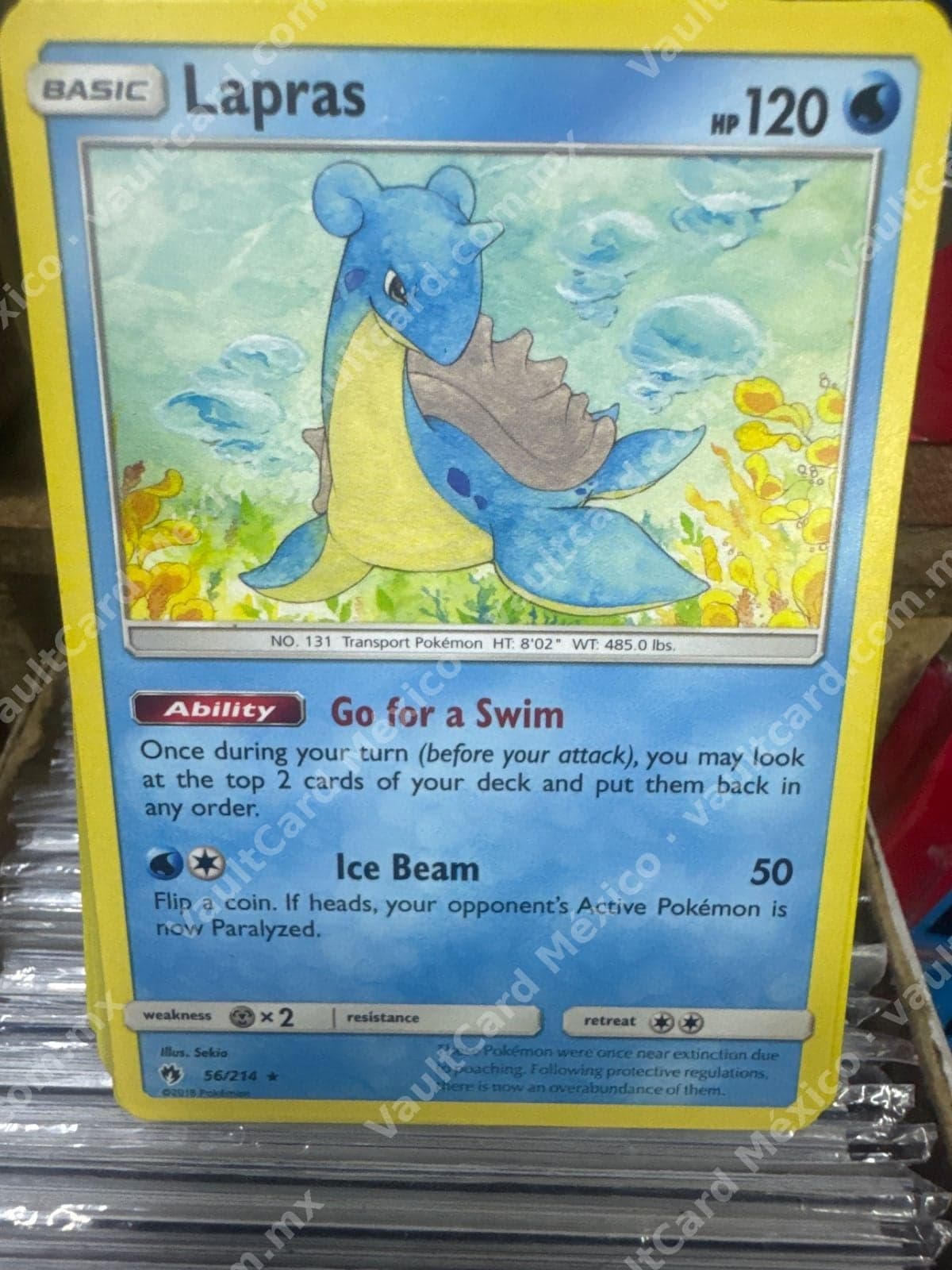 Lapras 56/214 - Lost Thunder Inglés
