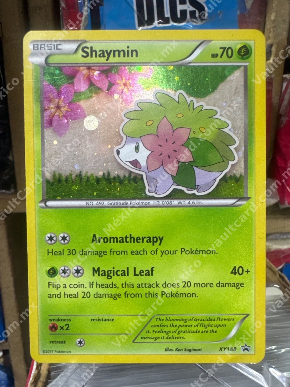 Shaymin XY188 - Promo Holo XY Black Star Inglés