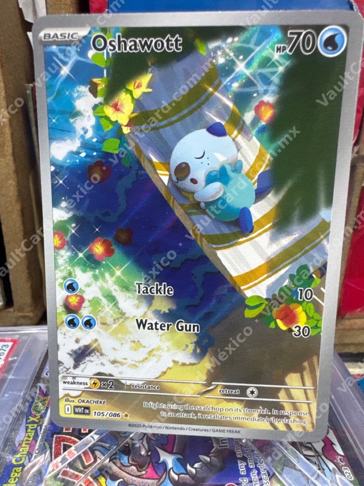 Oshawott 105/086 - (WHT) Inglés - Illustration Rare