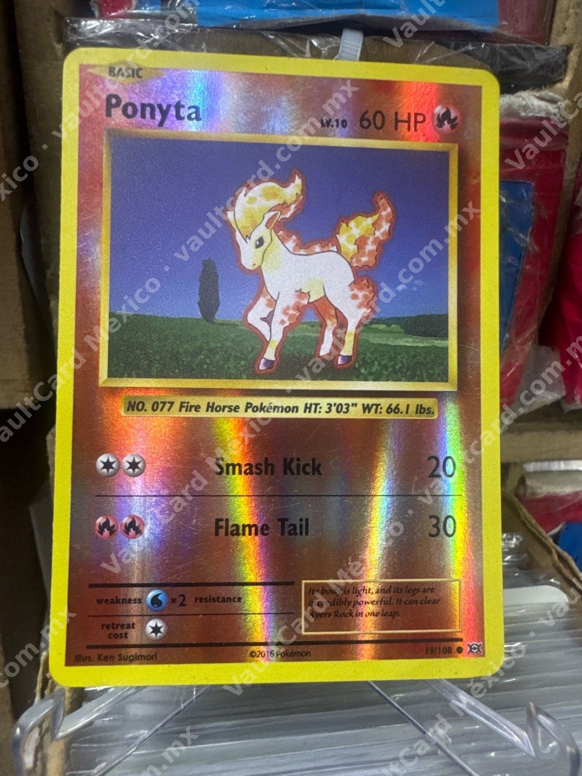 Ponyta 19/108 - Evolutions Inglés Reverse Holo