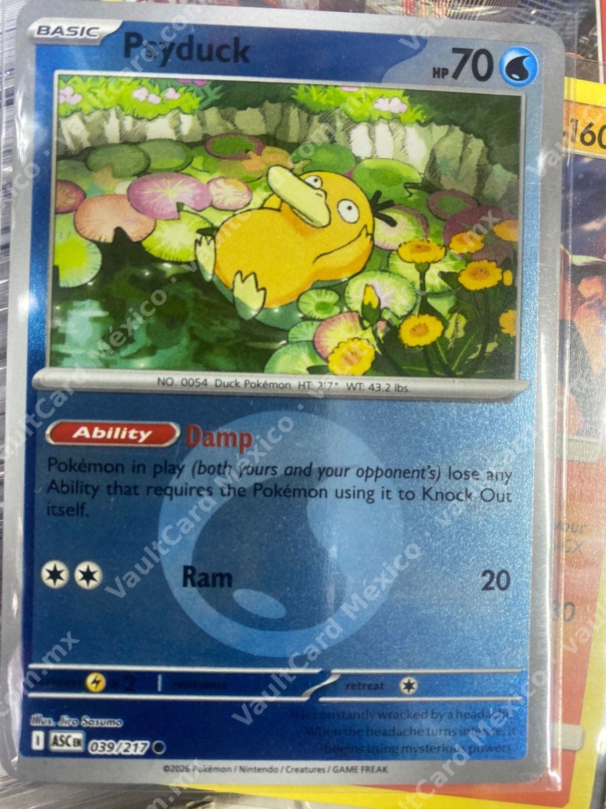 Psyduck 039/217 - (ASC) Inglés