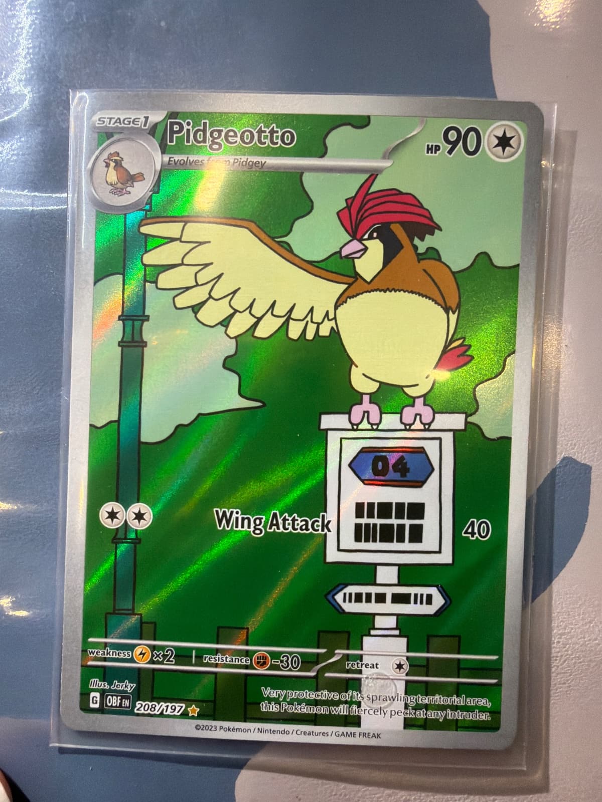 Pidgeotto 208/197 - Obsidian Flames (OBF) Inglés - Illustration Rare
