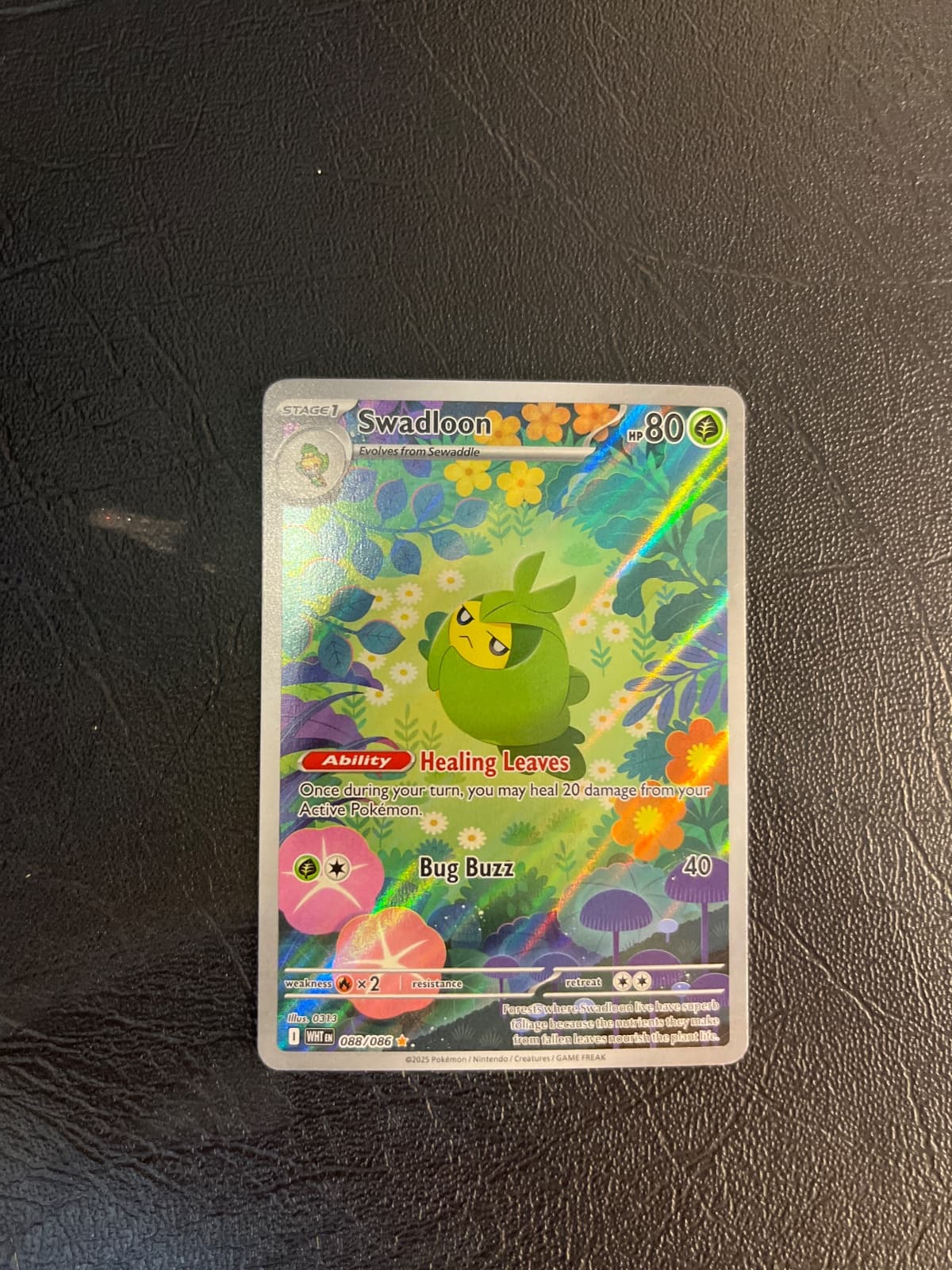Swadloon 088/086 - (WHT) Inglés - Illustration Rare