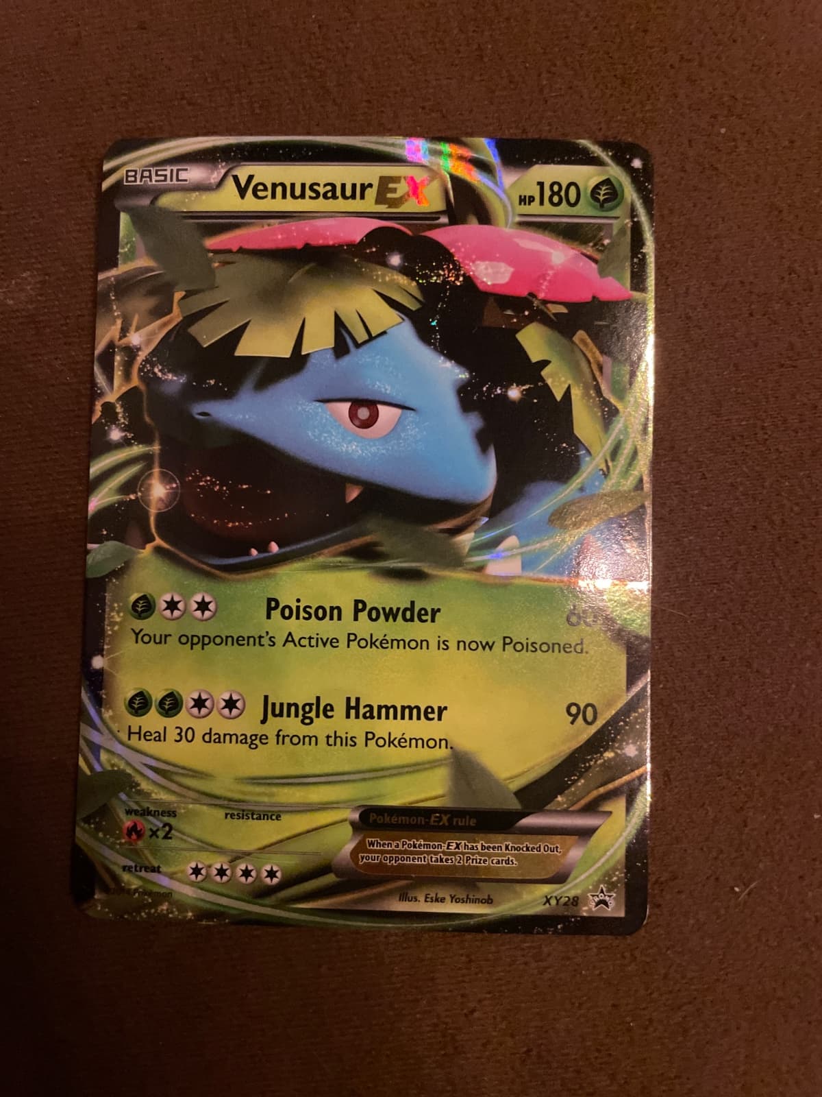 Venusaur EX XY28 - Promo Black Star Inglés