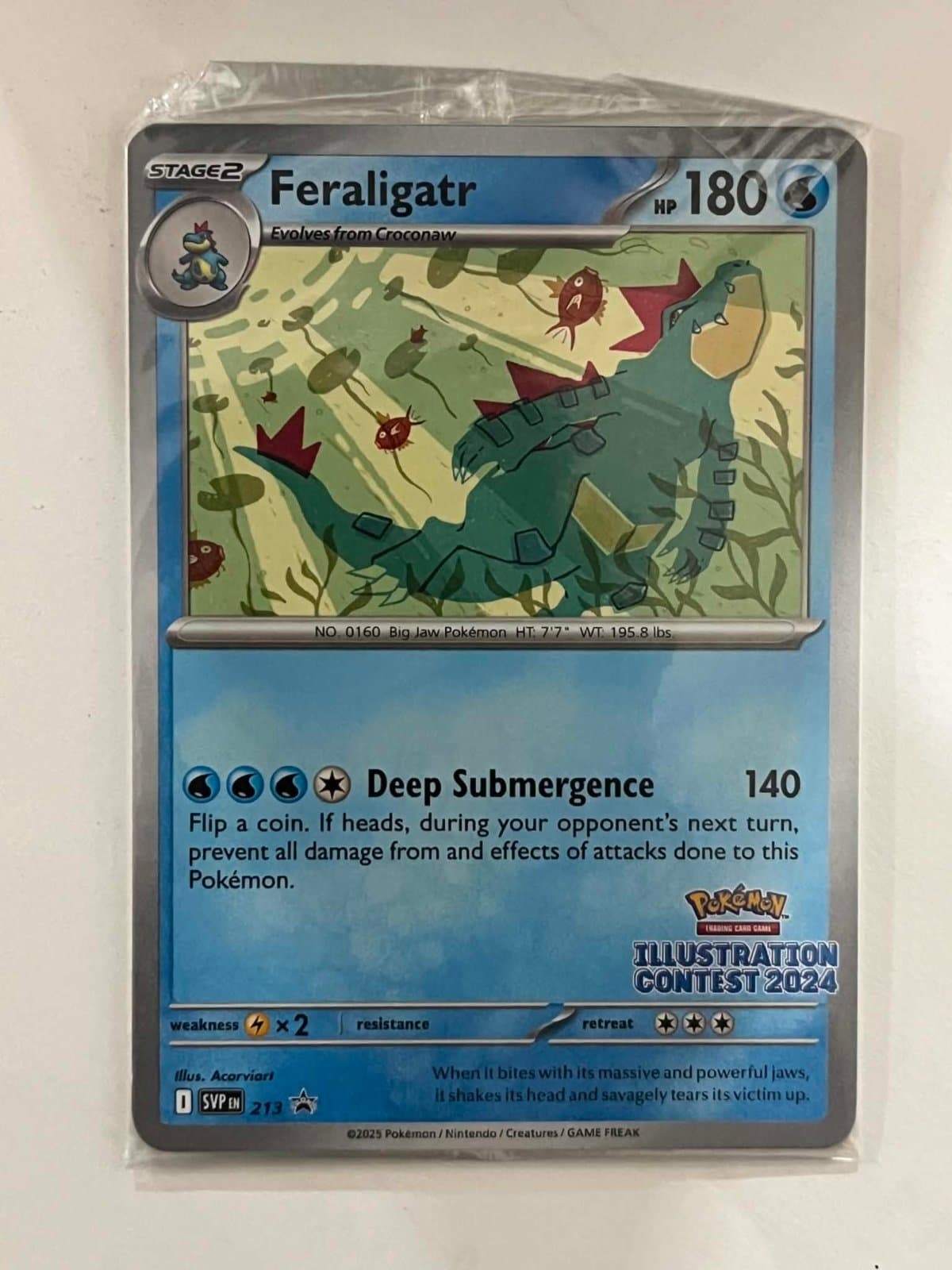 Set Illustration Contest 2024 Sellada