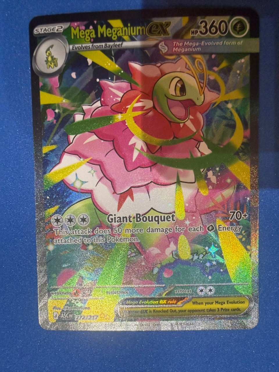 Limpieza de superficie · Mega Meganium ex — después